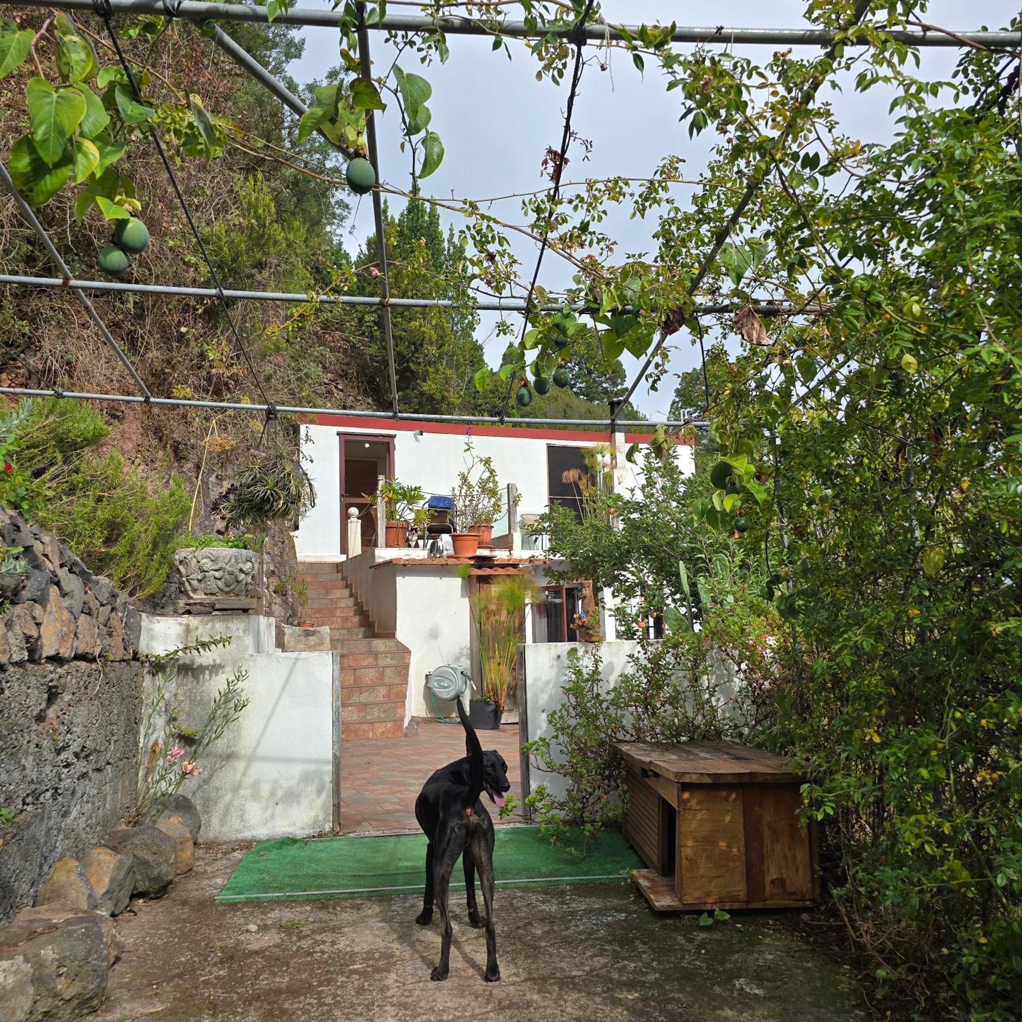 Freedom Villa El Tablado Exterior foto